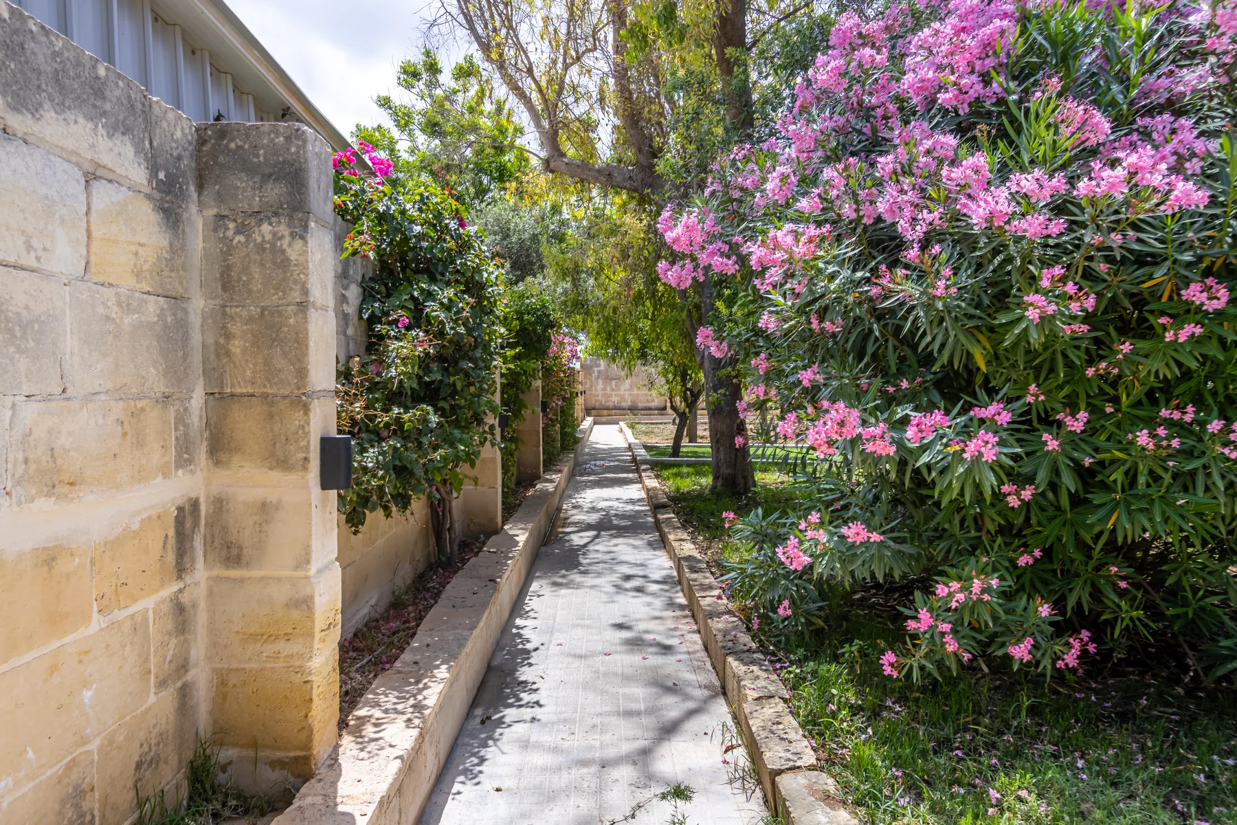 The gardens at Villa Barumbara Tal-Laring, Malta