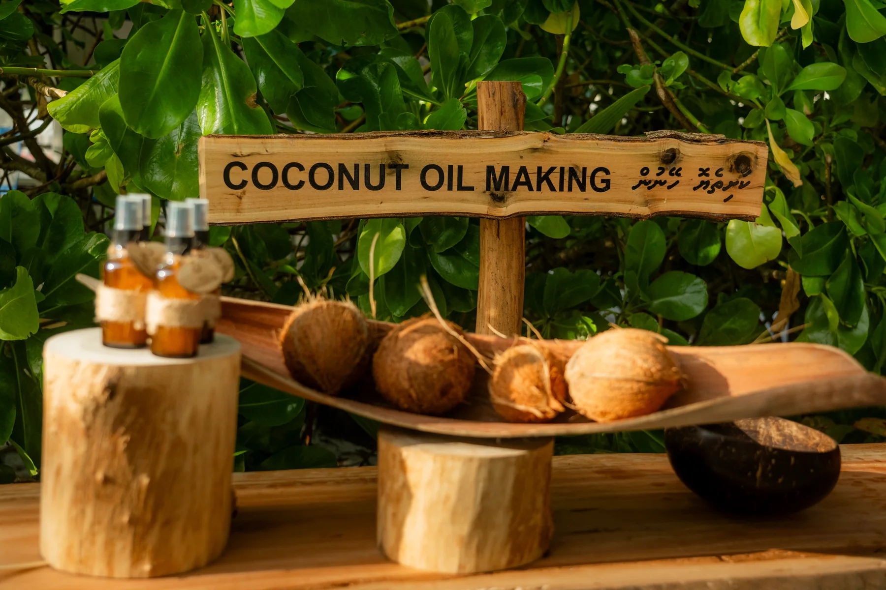 Traditional coconut oil making at Athireege, Sun Siyam Vilu Reef