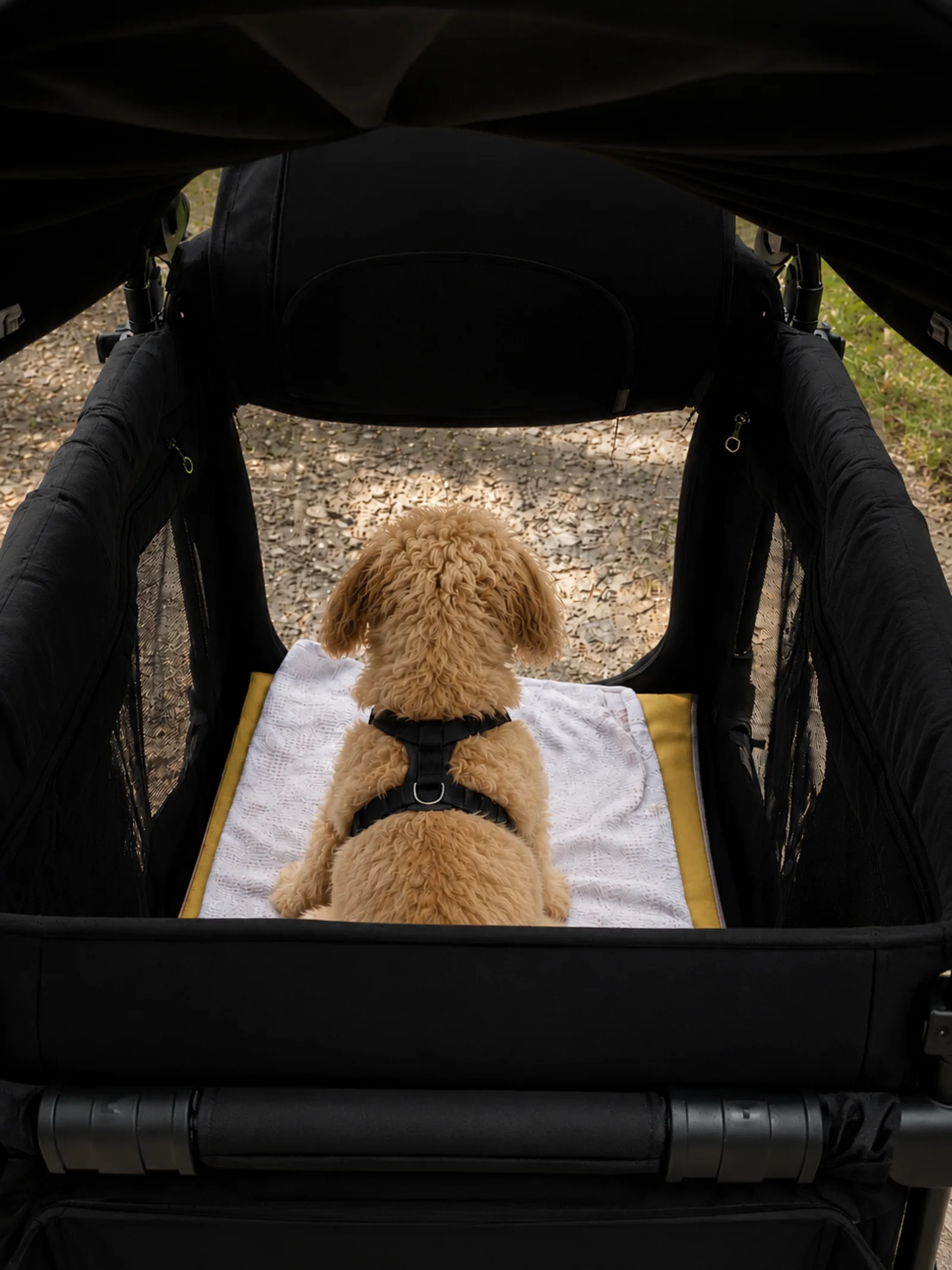 The pet-friendly entrance of the STROLLZ. stroller wagon
