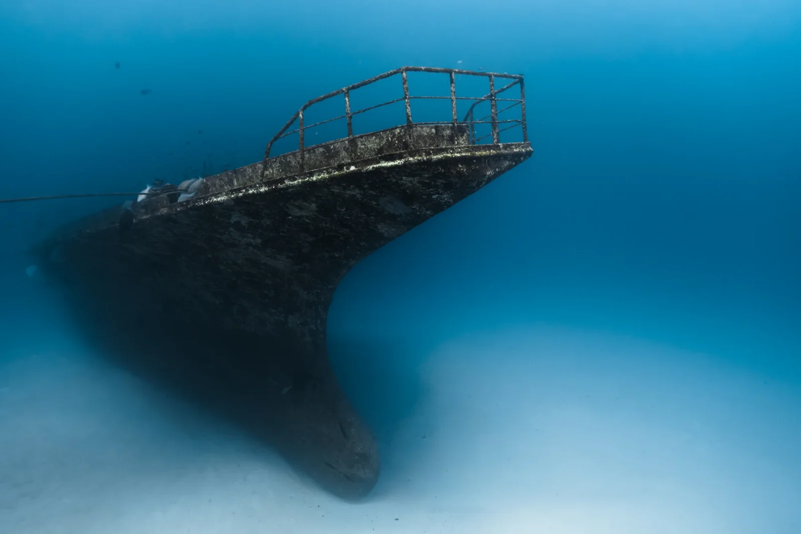Diver exploring the newly sunk 66-metre shipwreck dive site at Siyam World Maldives