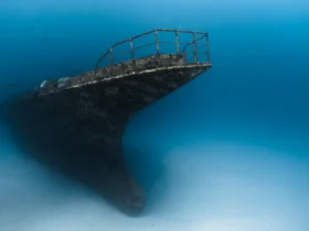 Diver exploring the newly sunk 66-metre shipwreck dive site at Siyam World Maldives