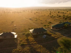 Aerial view of Wild Wakati Camp in the Serengeti, Tanzania