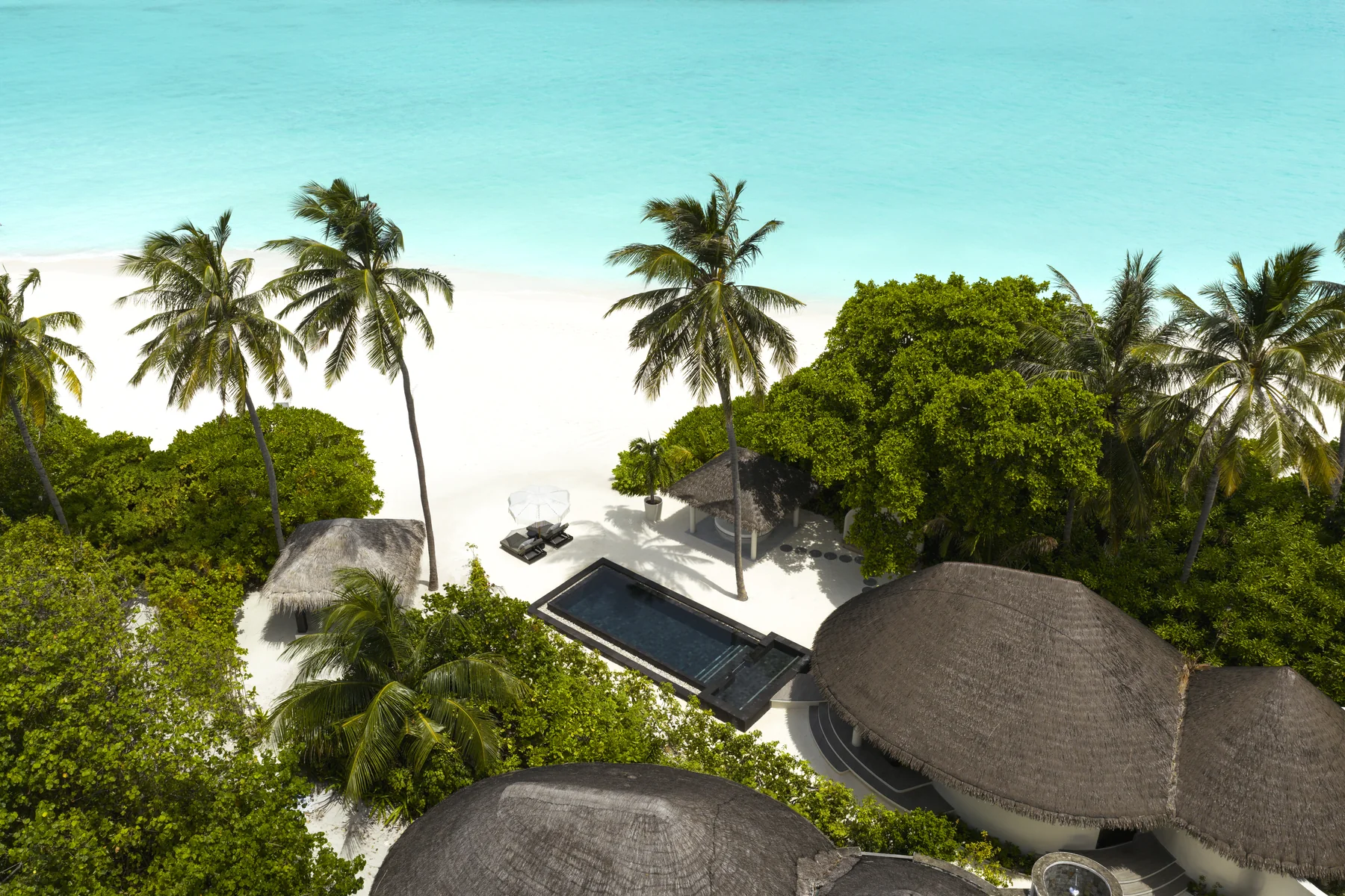 Beachfront villas among palms at Sun Siyam Iru Fushi, Maldives