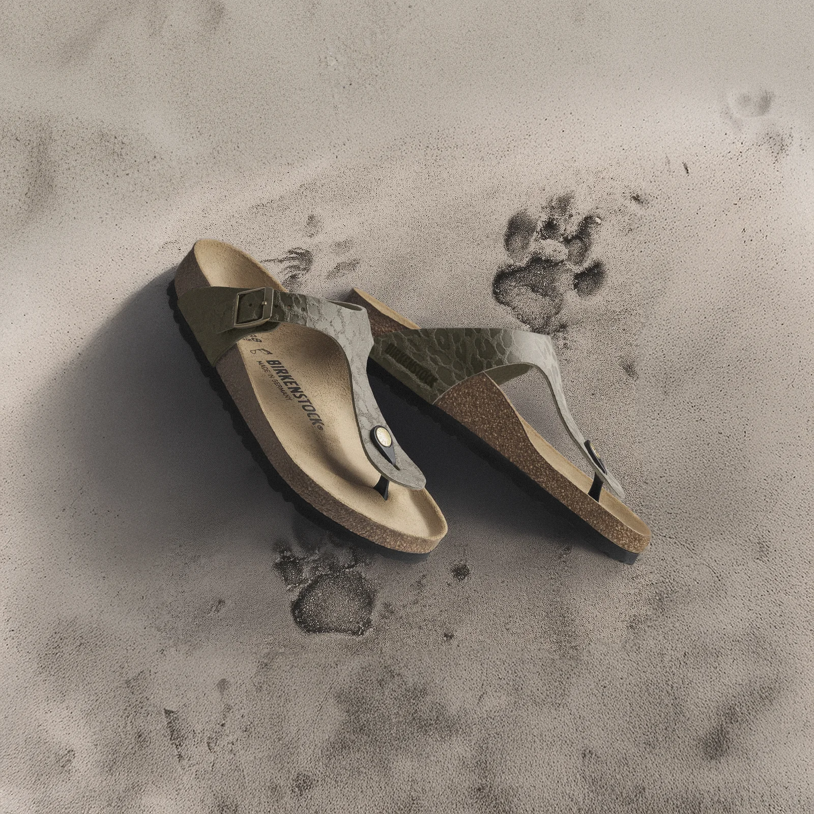 The toe-post Birkenstock Gizeh in animal print on sand