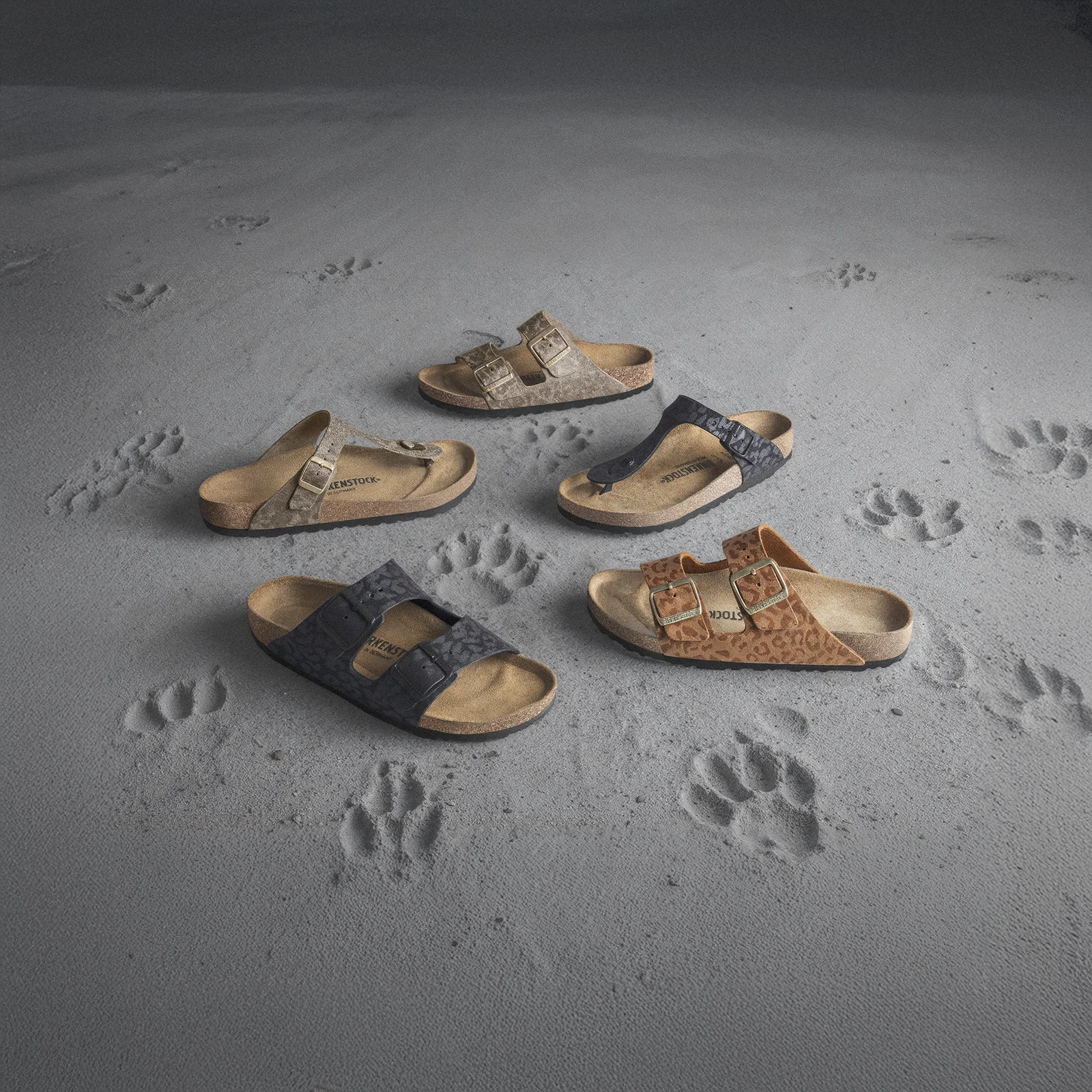 The four Birkenstock Animal Pack silhouettes on sand traced with animal tracks